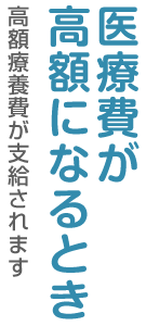 医療費が高額になるとき